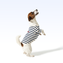 STFYC_PARISIAN PUP SHIRT